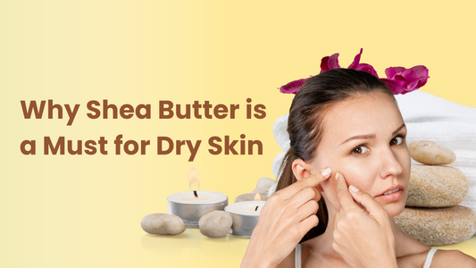 Why Shea Butter is a Must for Dry Skin